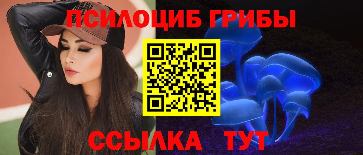 наркота  Галлюциногенные грибы мицелий  Псилоцибиновые грибы мицелий  Вход с VPN  Междуреченск 